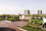 Axiom - jardins accessibles en toiture